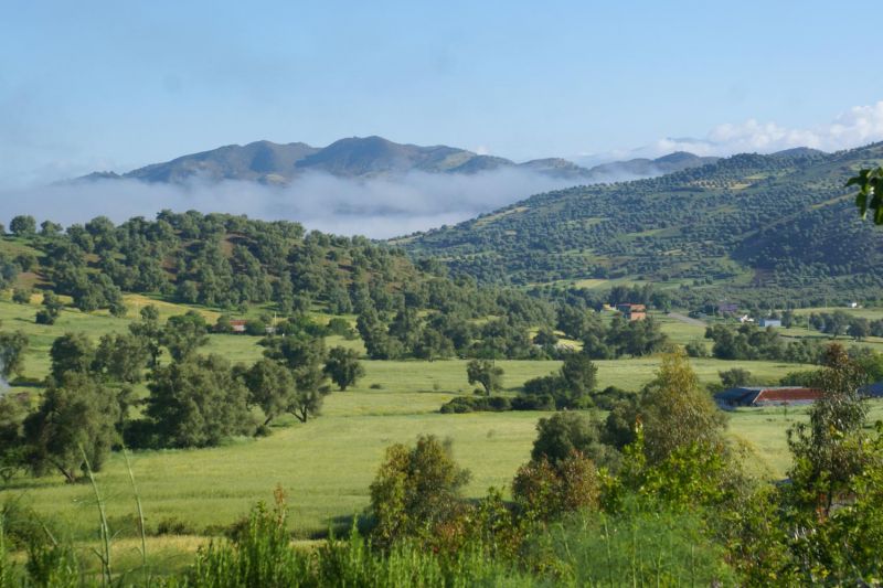 Foto de Ruta por Norte de Marruecos con sabor local