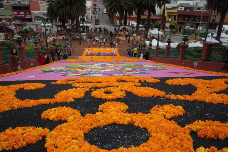 Foto de Ruta por Oaxaca y la fiesta mas viva de todas