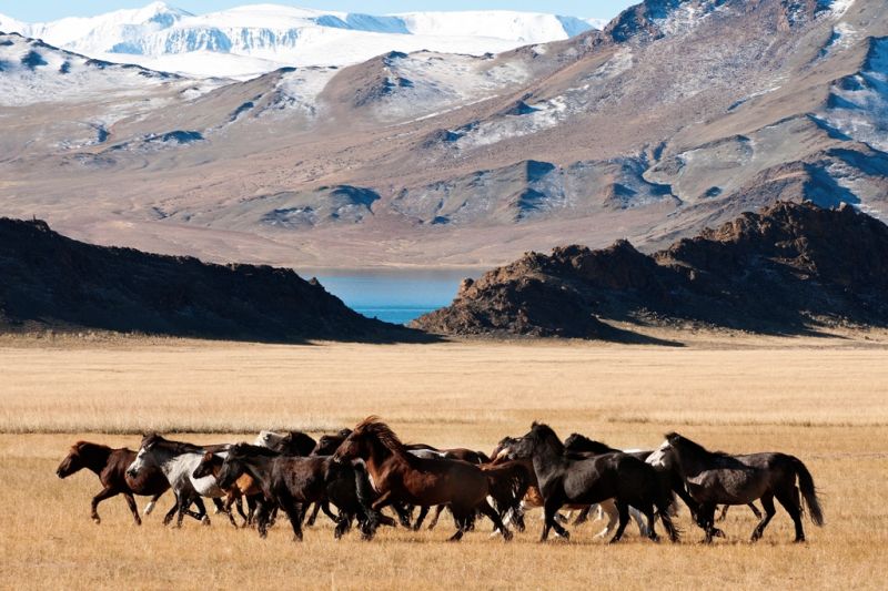 Foto de Ruta por Tras los pasos de Gengis Kan 2