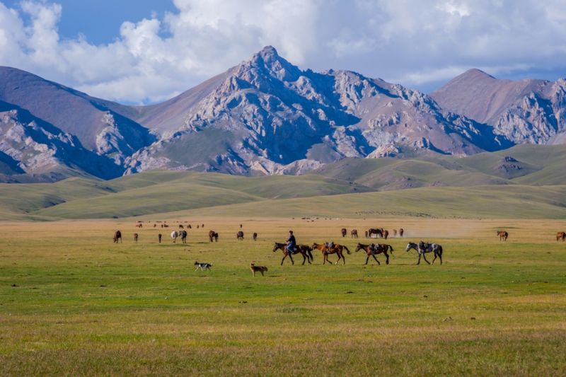 Foto de Ruta por Tras los pasos de Gengis Kan 8