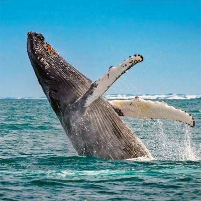 Viaje de aventura a Baja California