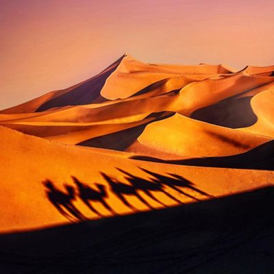 Viaje de aventura a De la costa al desierto