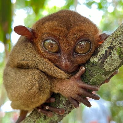 Viaje de aventura a Desconecta del mundo