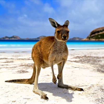 Viaje de aventura a El sueño Aussie