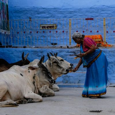 Viaje de aventura a Escapada a India