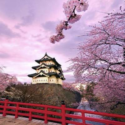 Viaje de aventura a La ruta del Hanami