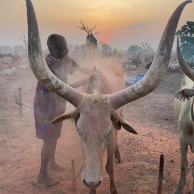 Viaje de aventura a Las tribus perdidas