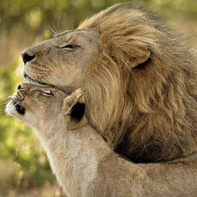 Viaje de aventura a Road trip por Sudáfrica