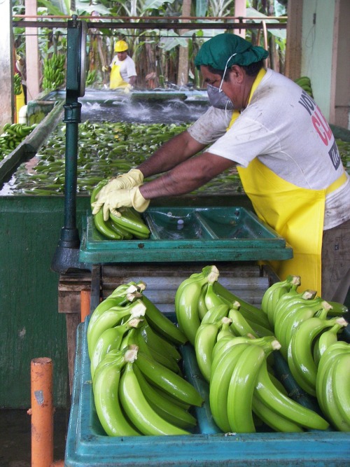 Qué ver en Ecuador