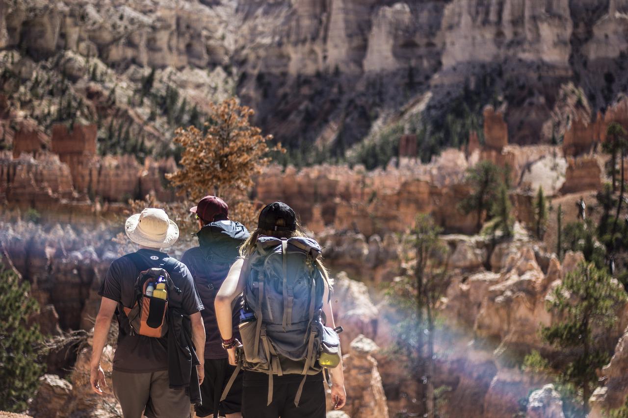 consejos para viajar en grupo