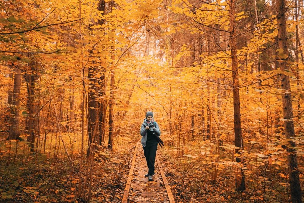 viajar en otoño