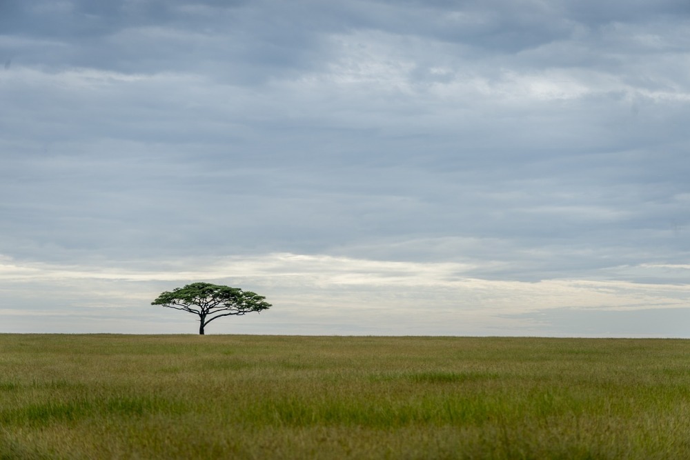 mejores países de África para visitar