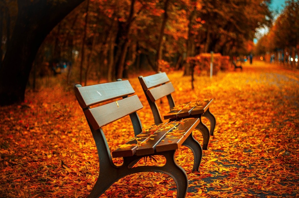 Dónde viajar en otoño