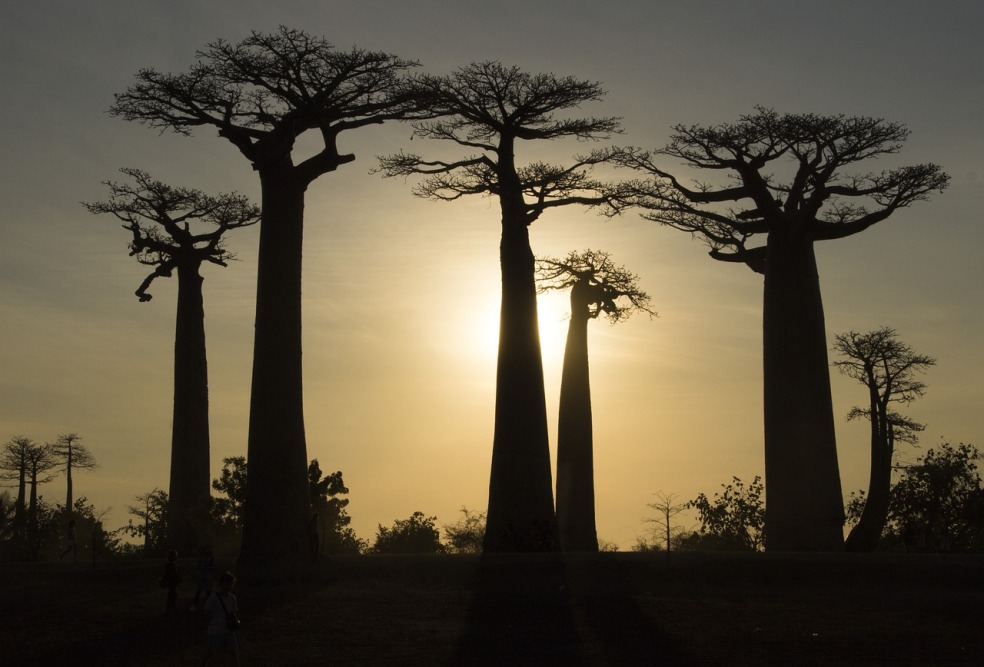 mejor época para viajar a Madagascar