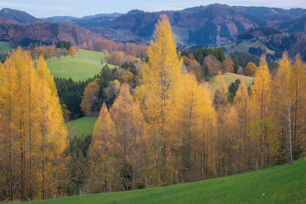 viajes fotográficos en otoño