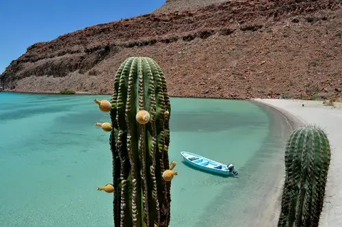 Viaje a Baja California