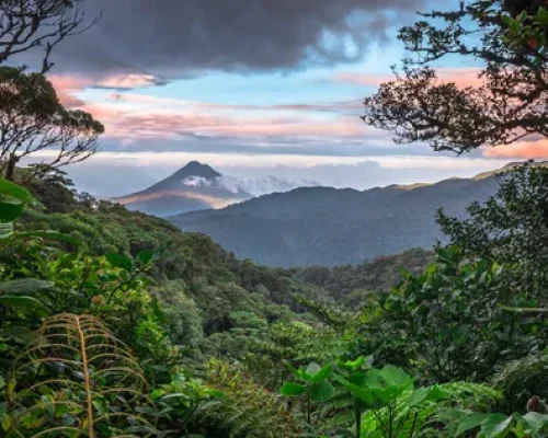 1 Monteverde_baja