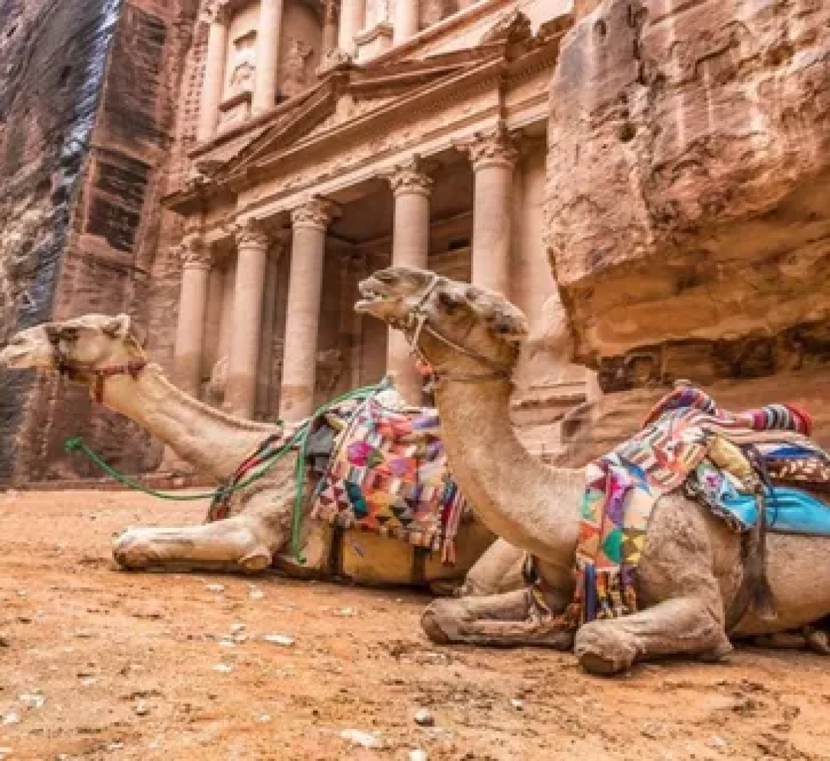 2. Dos camellos en El Tesoro de Petra_baja