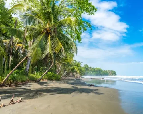 4 Cahuita_baja