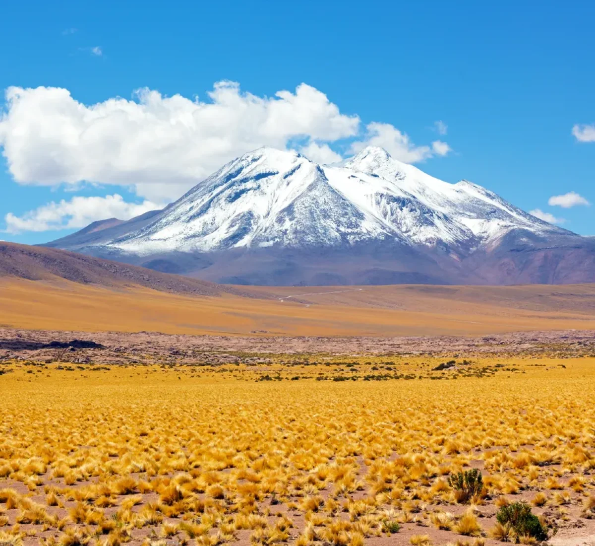Altiplano en Atacama_BAJA
