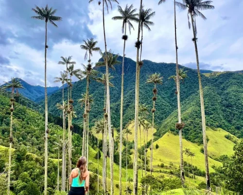 COLOMBIA (3)_BAJA