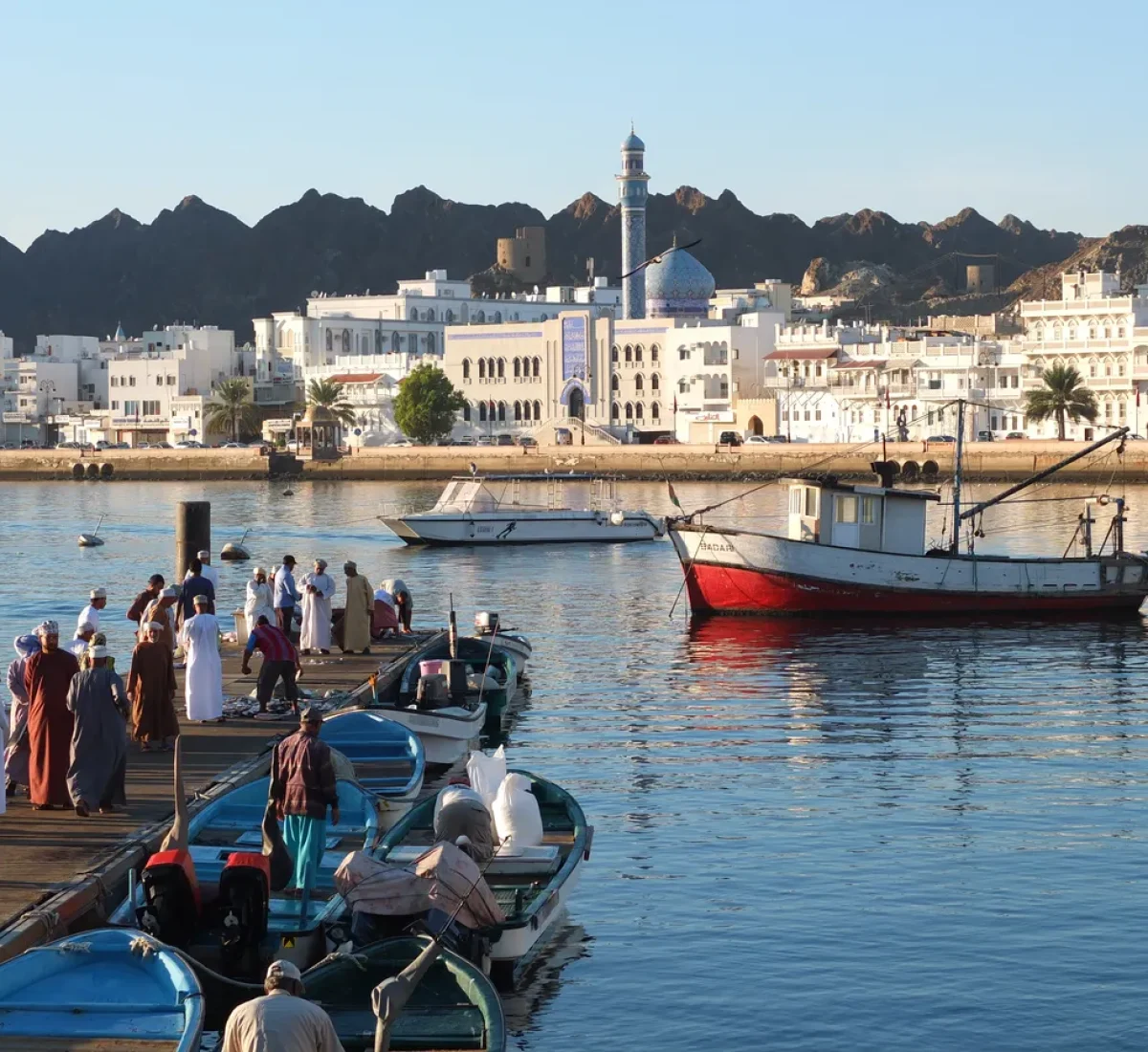 DSCF9327_BAJA