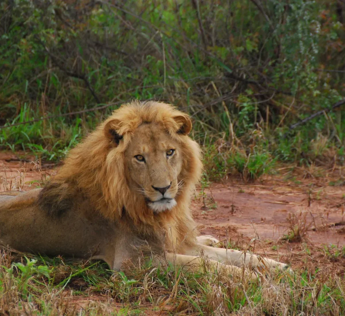 DSC_0214_resultado_BAJA