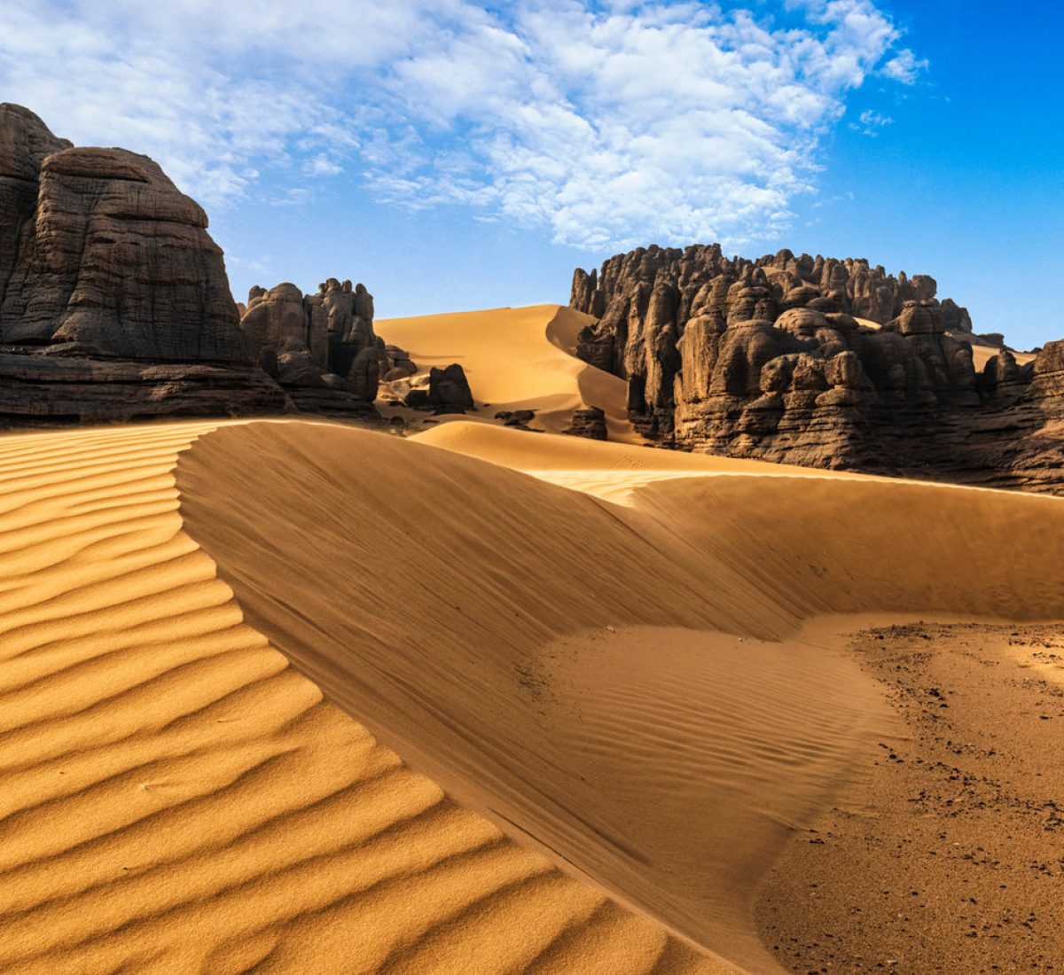 Dunas del desierto_resultado