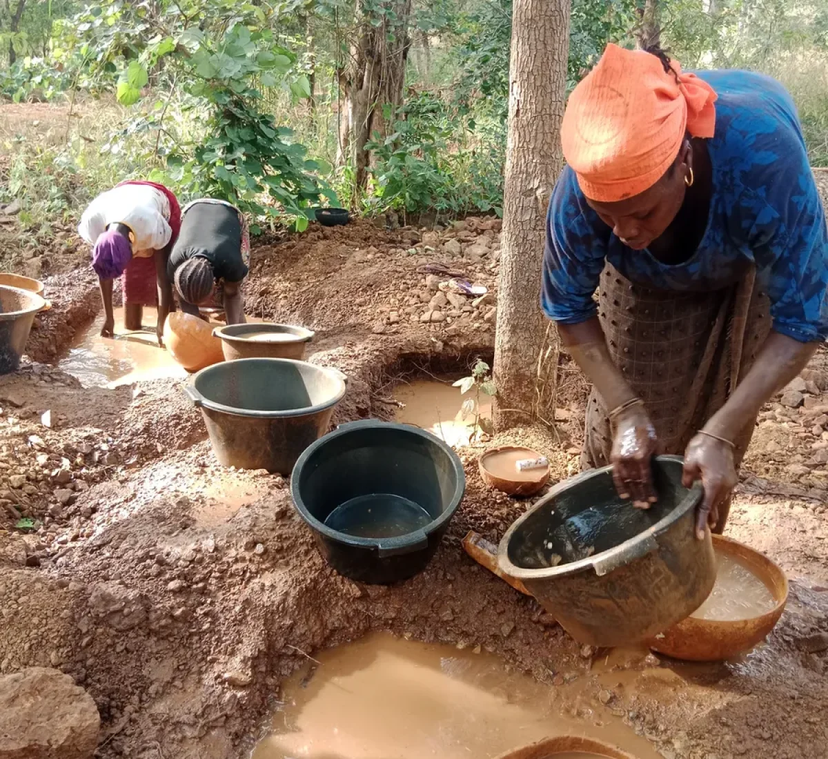 IMG_20251109_155007_BAJA