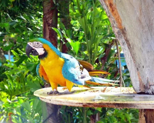 IMG_8232_baja
