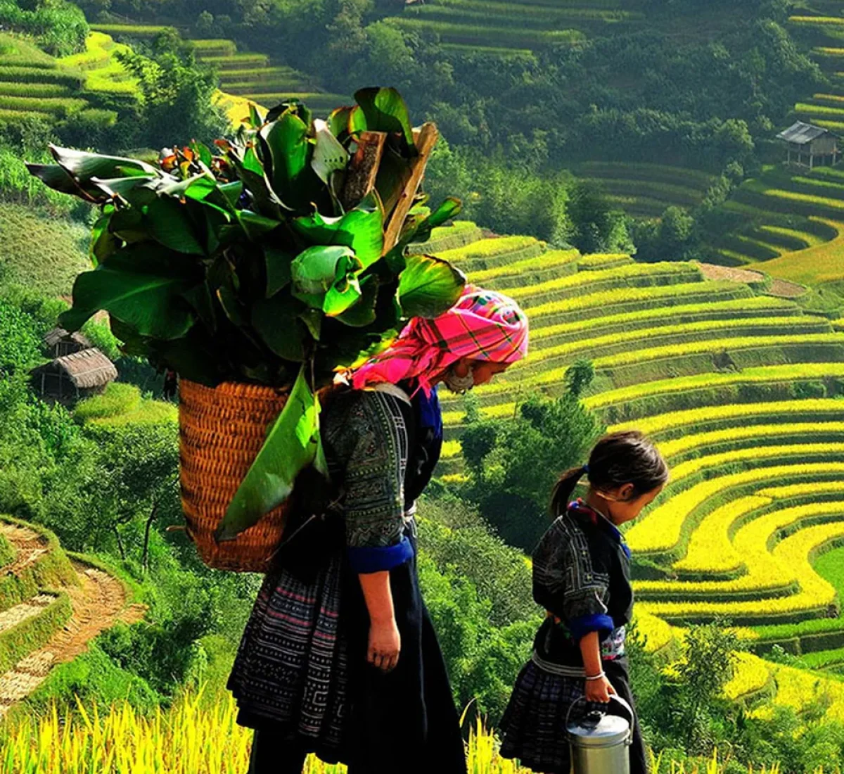 Index Vietnam Norte_BAJA