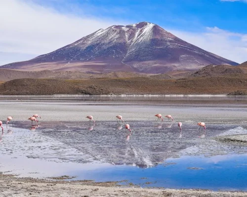 Laguna Andina_BAJA