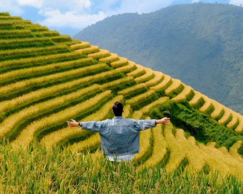 Laos 4_baja