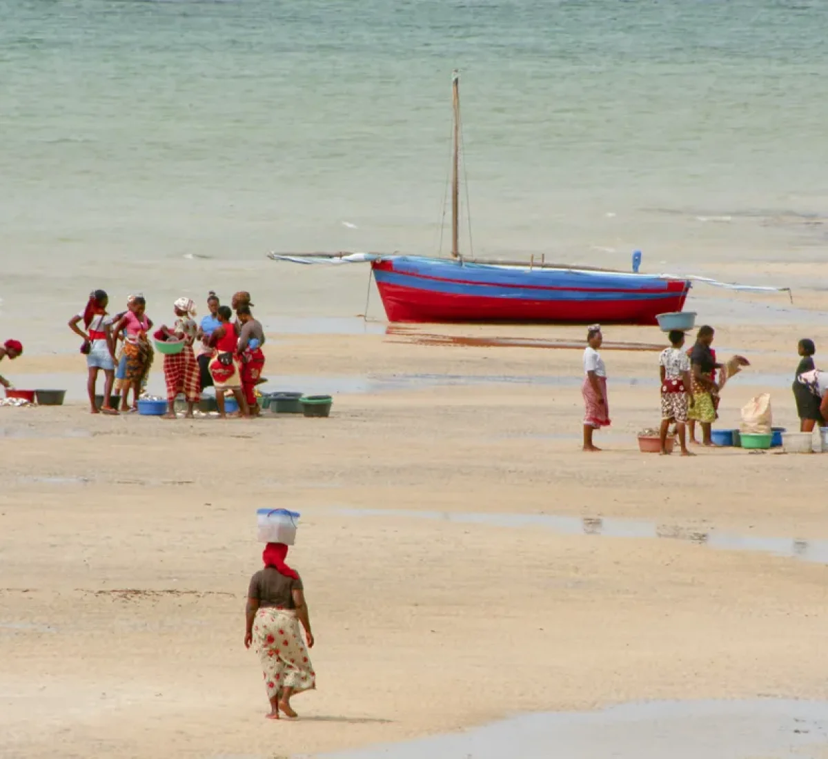 Olivia Prades Mozambique recogida do pesce_BAJA