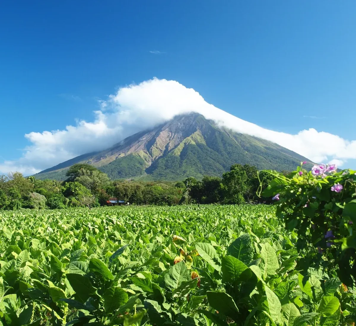 Ometepe_BAJA