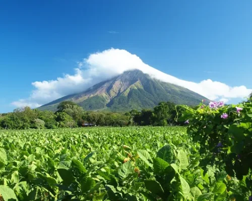 Ometepe_baja