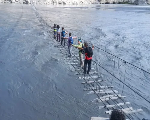 PAKISTAN _baja