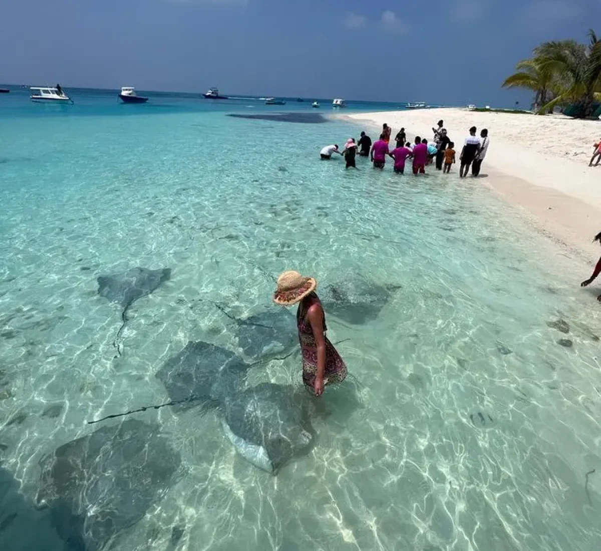 PHOTO-2023-04-02-21-41-39(4)_BAJA