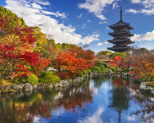 Pagoda de Toji_baja