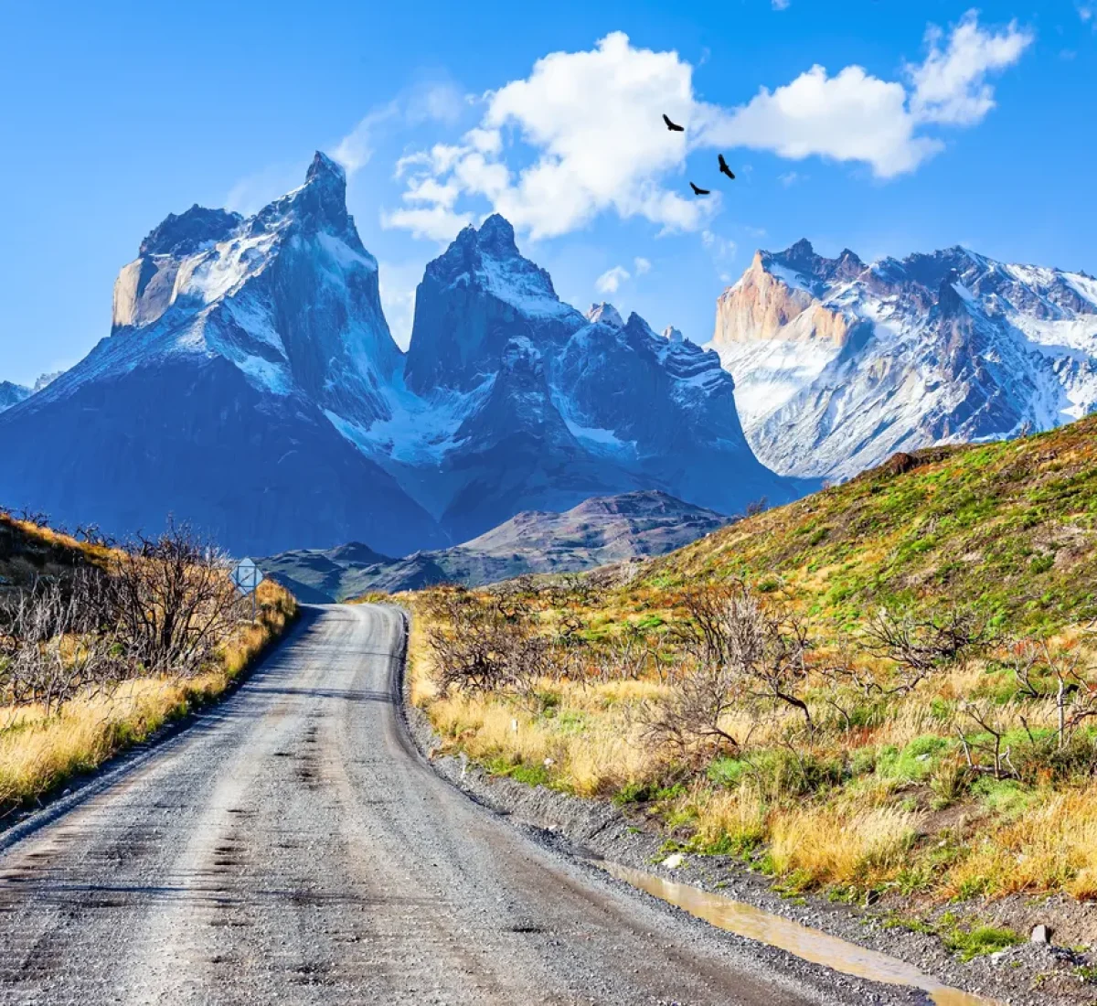 Paisaje de Torres del Paine_baja