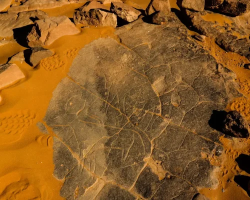 Petroglifos en Tassili nAjjer_baja