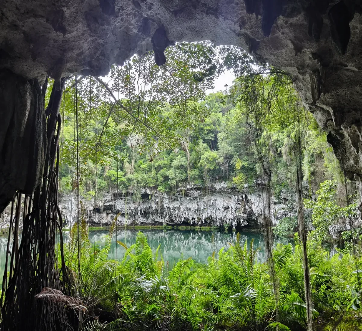 R.DOMINICANA _ Merce Ago 24 (11)_BAJA