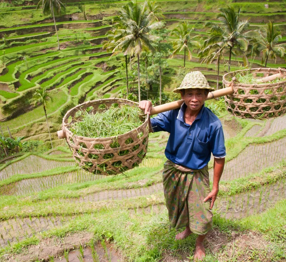 Rice-farmer-en Bali_BAJA