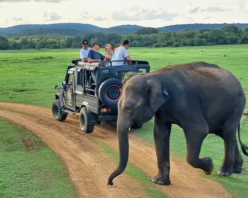 SRI LANKA_Marc Casanovas_2023 (5)_baja