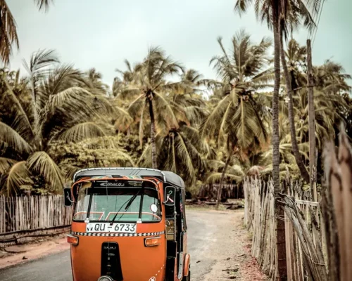 Sri Lanka V 18_baja