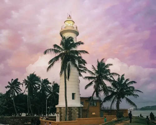 Sri Lanka V 23_BAJA