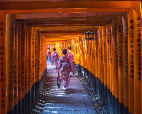 Templo Fushimi Inari_baja