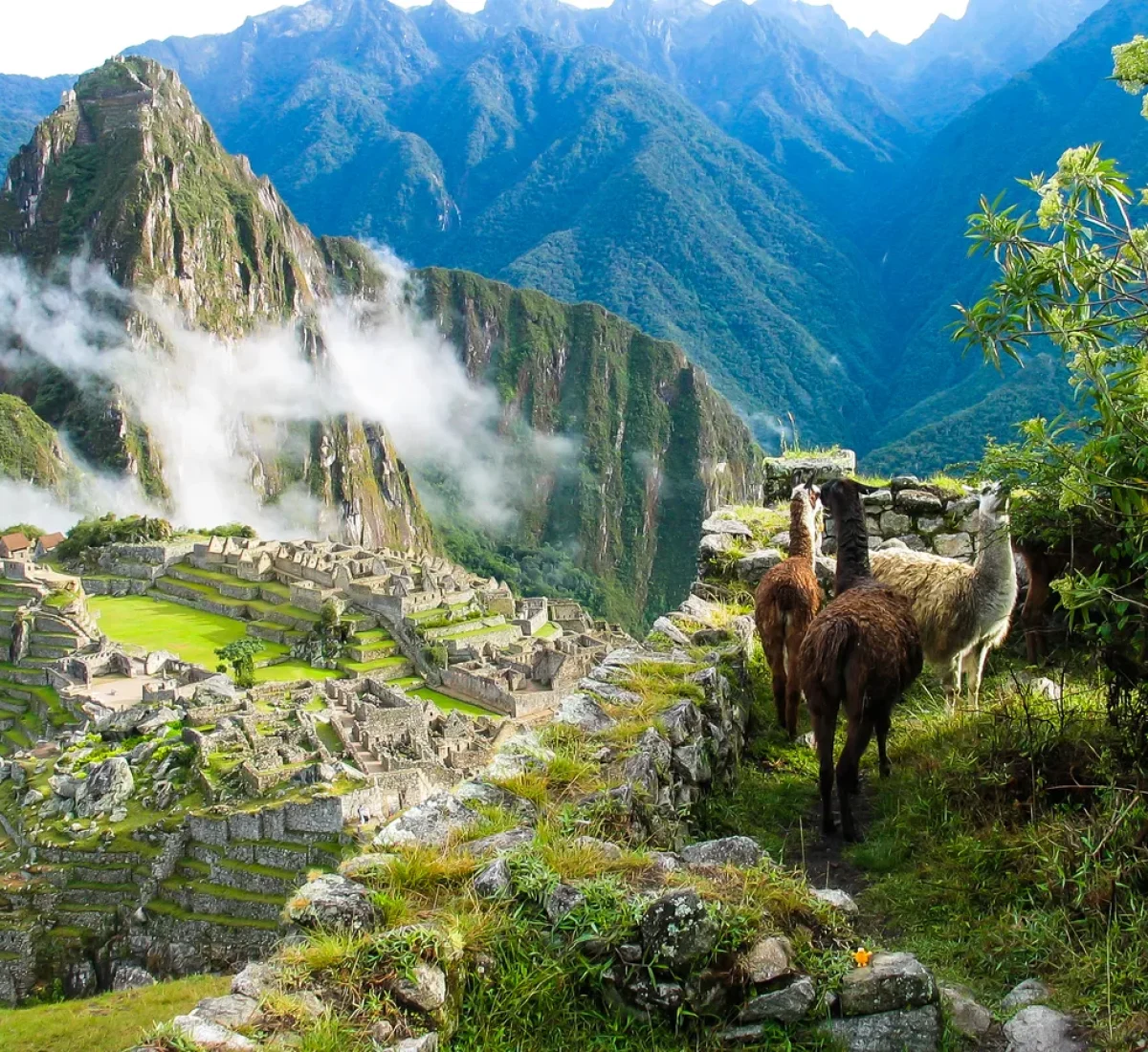Vista de Machu Picchu_BAJA