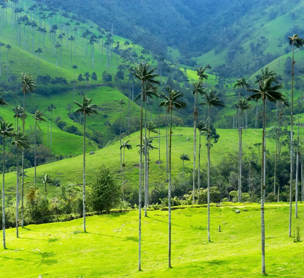 bigstock--150701879_BAJA