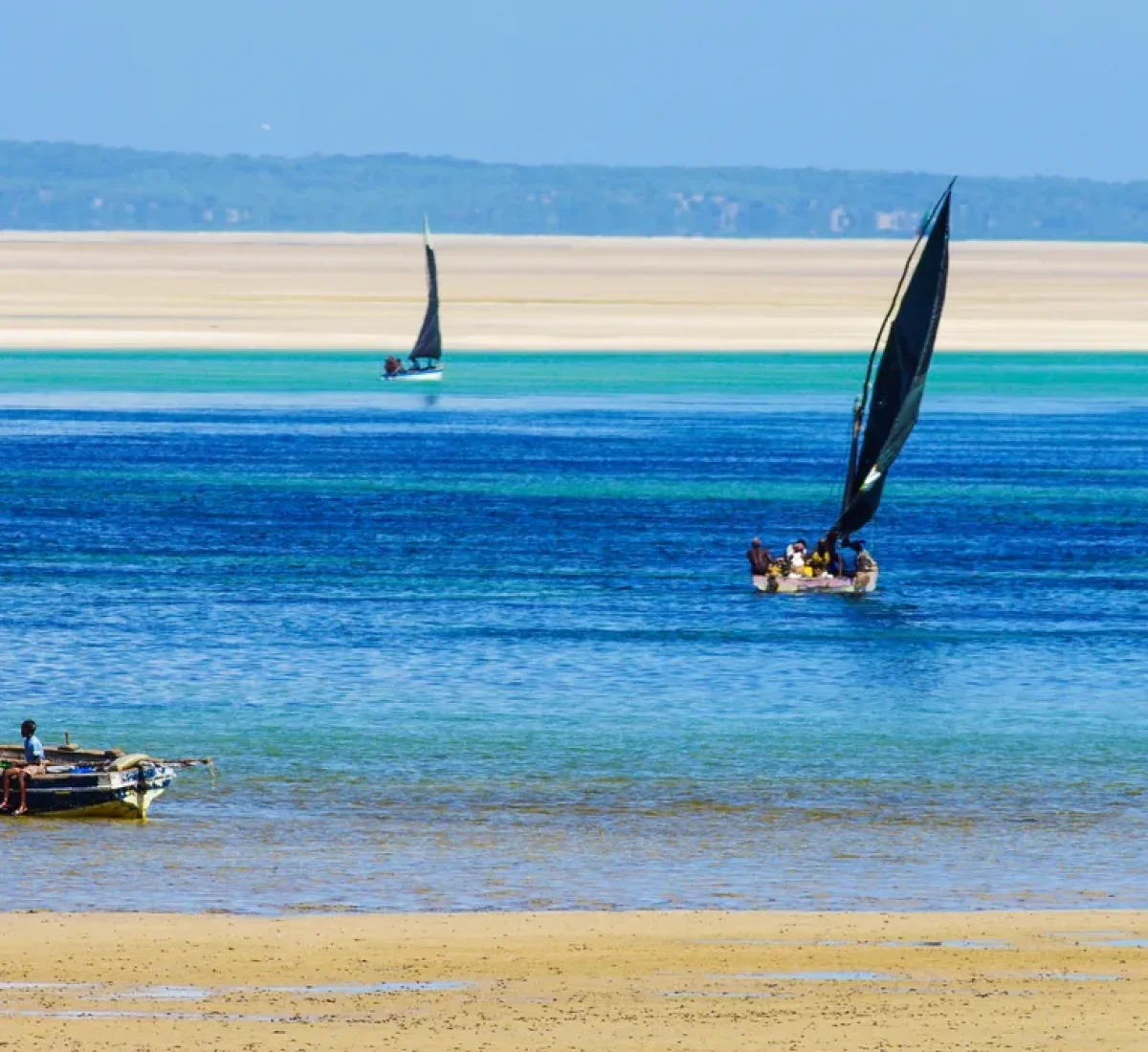 bigstock--186443308_BAJA